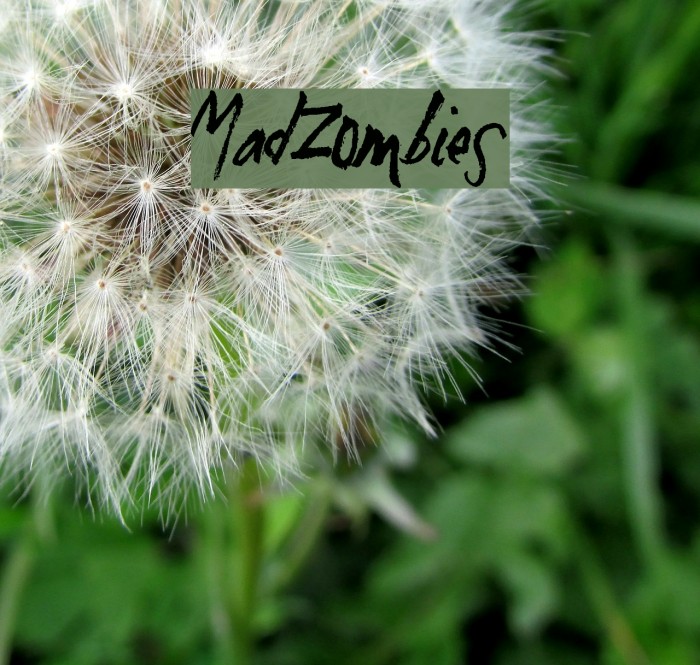 MadZombies Font examples