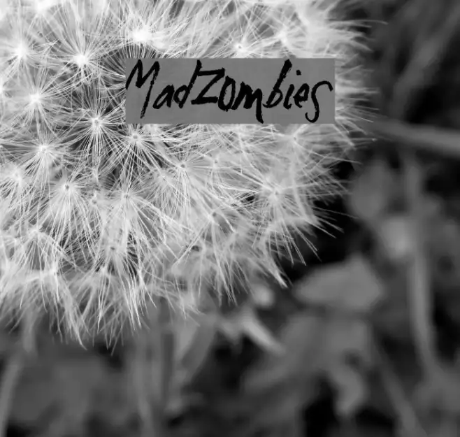 MadZombies Example 2