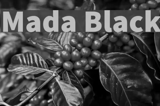 Mada Black Example 2