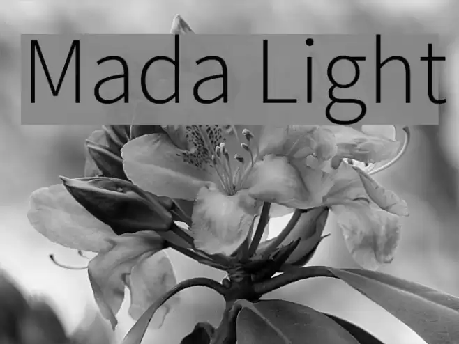 Mada Light  examples