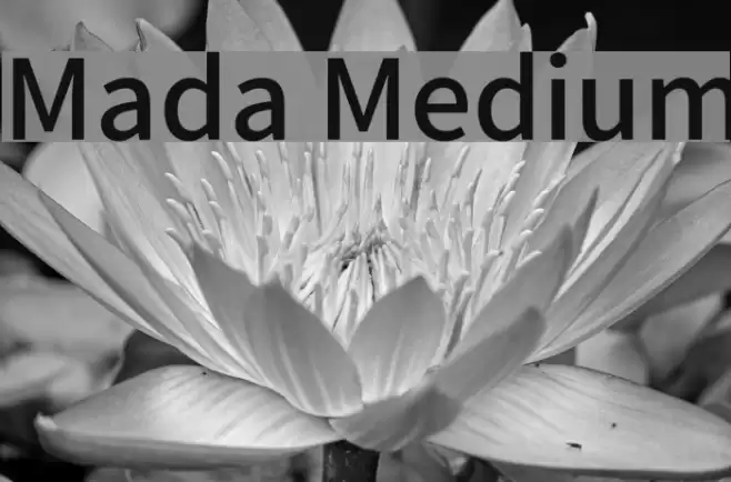 Mada Medium Font examples