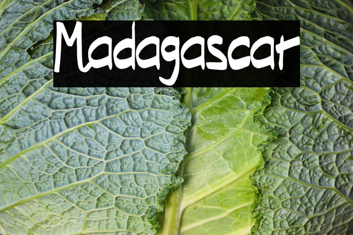 Madagascar Example 3
