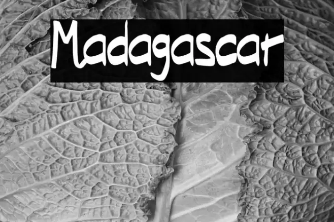 Madagascar Font examples