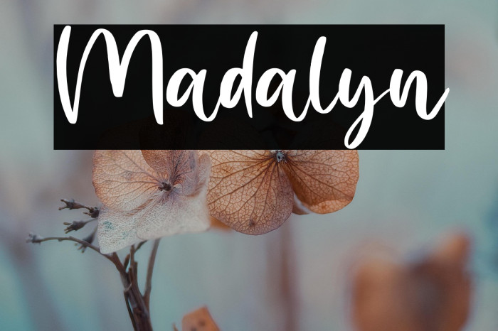 Madalyn Example 1