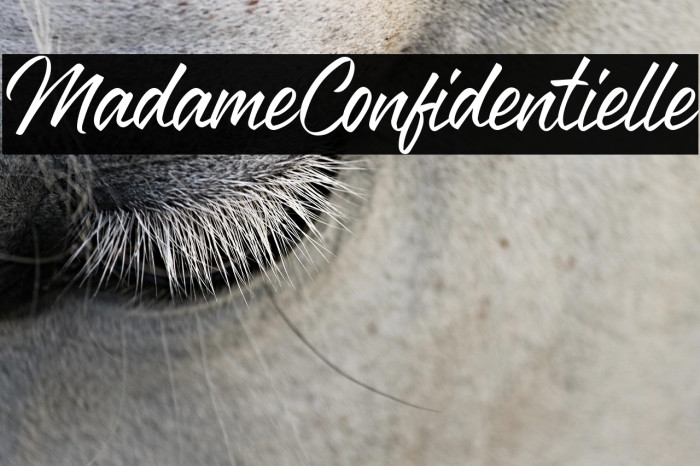 Madame Confidentielle Example 2