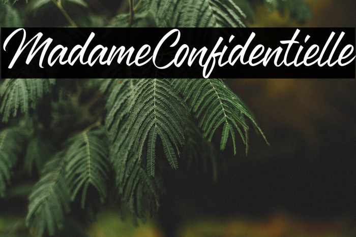 Madame Confidentielle Example 3