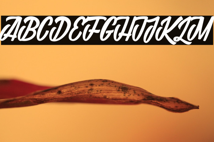 Madame Viviane 1_PersonalUseOnly Example 1