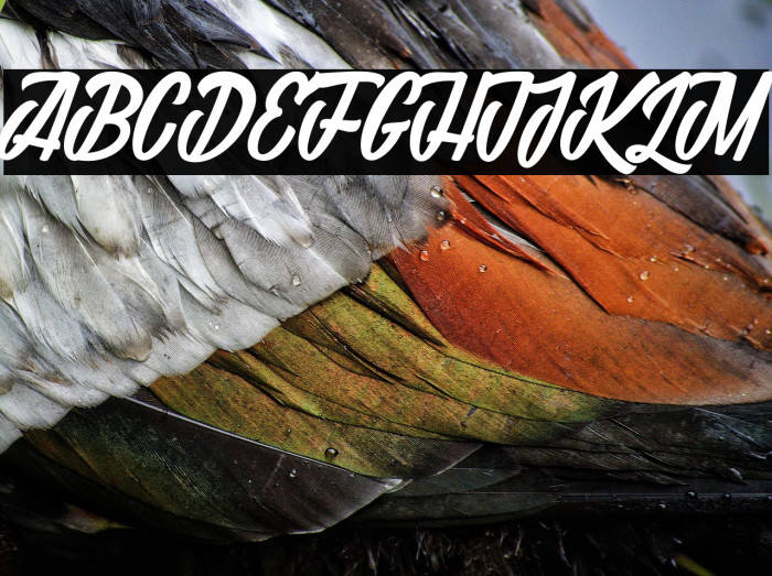 Madame Viviane 1_PersonalUseOnly Example 2