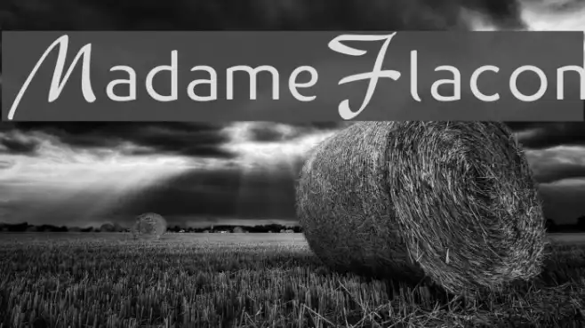 MadameFlacon Example 2