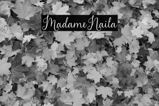 MadameNaila Font examples