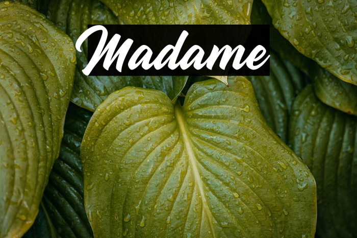 Madame Example 1