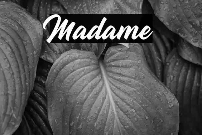 Madame Font examples