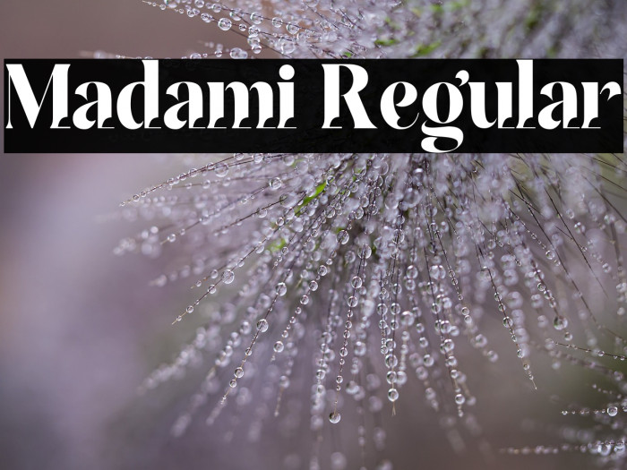 Madami Regular Example 1