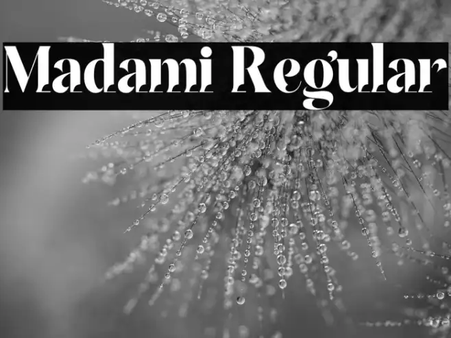 Madami Regular Example 1