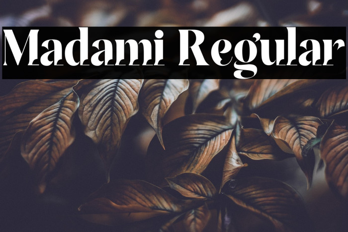 Madami Regular Example 2