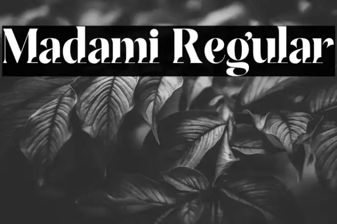 Madami Regular Example 2