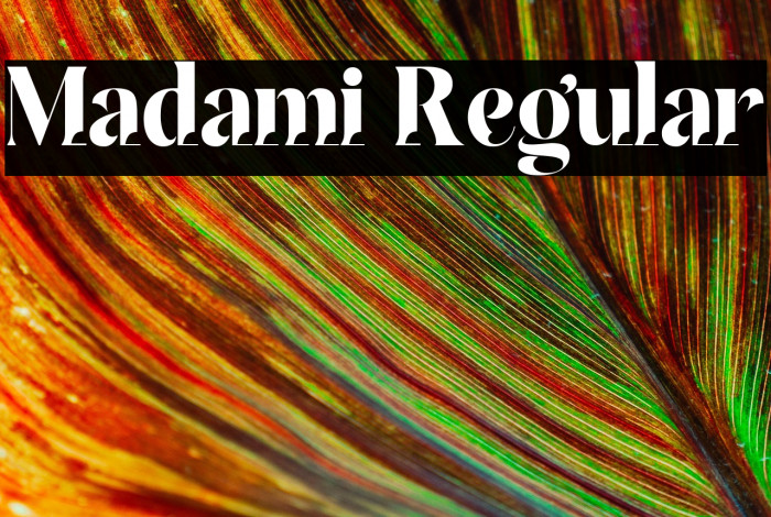 Madami Regular Example 3