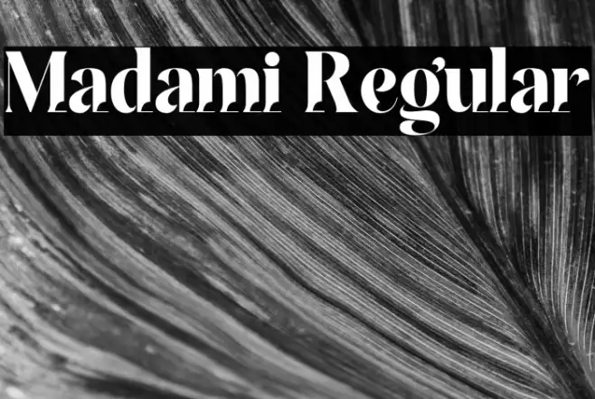 Madami Regular Example 3