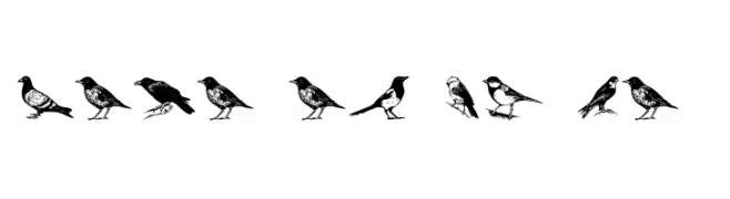 Madarak Regular  免费字体下载