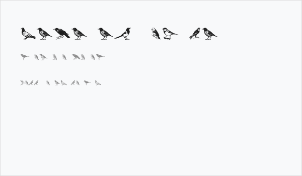 Madarak Regular Business Card