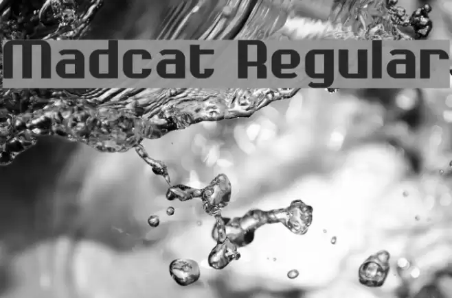Madcat Regular Font examples