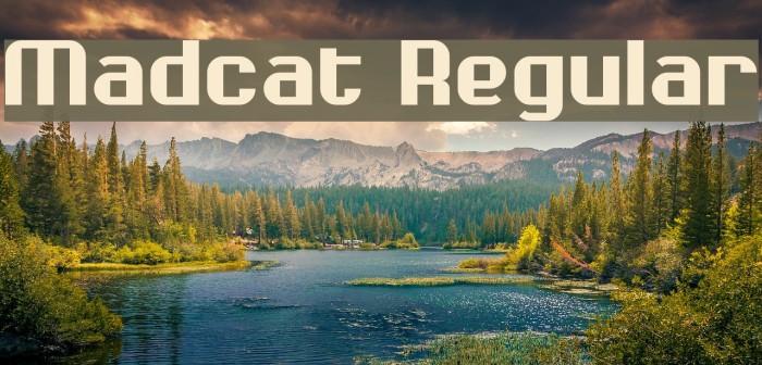 Madcat Regular Example 3