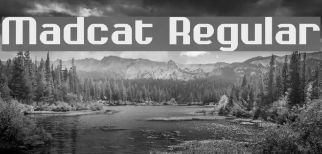 Madcat Regular Font examples