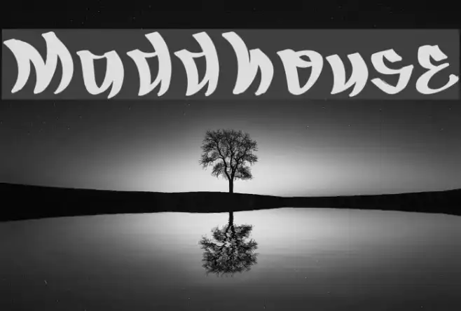 Maddhouse Example 1