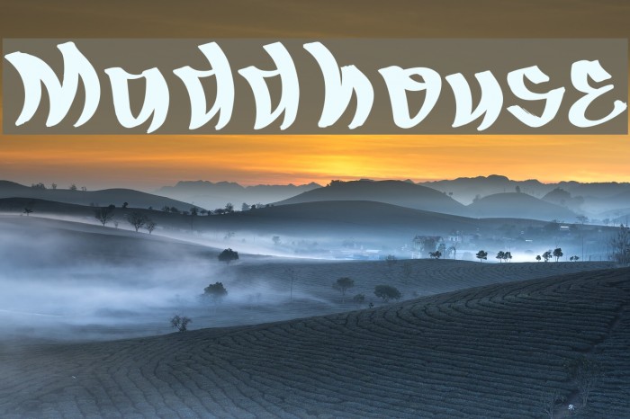 Maddhouse Font examples