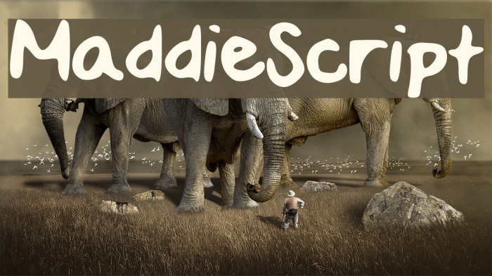 MaddieScript Font examples
