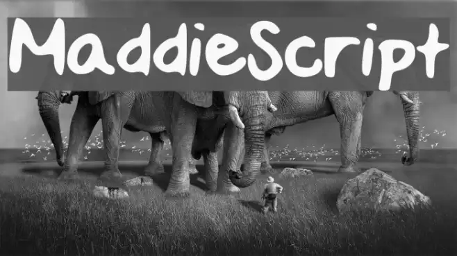 MaddieScript Example 3