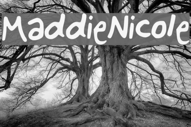 Maddie_Nicole Font examples