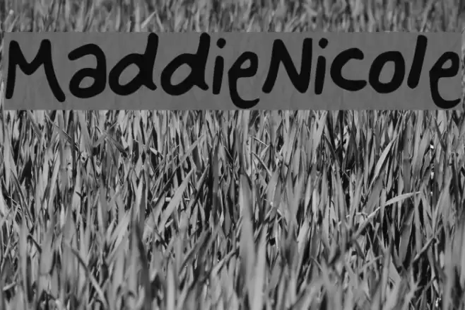 Maddie_Nicole Font examples