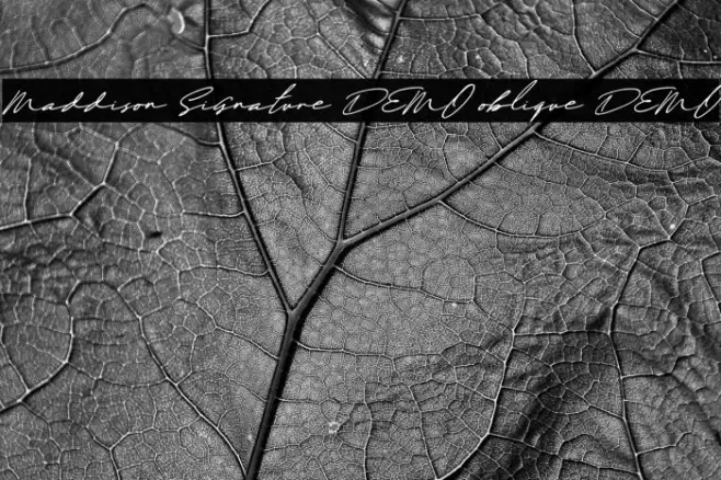 Maddison Signature DEMO oblique DEMO Example 3