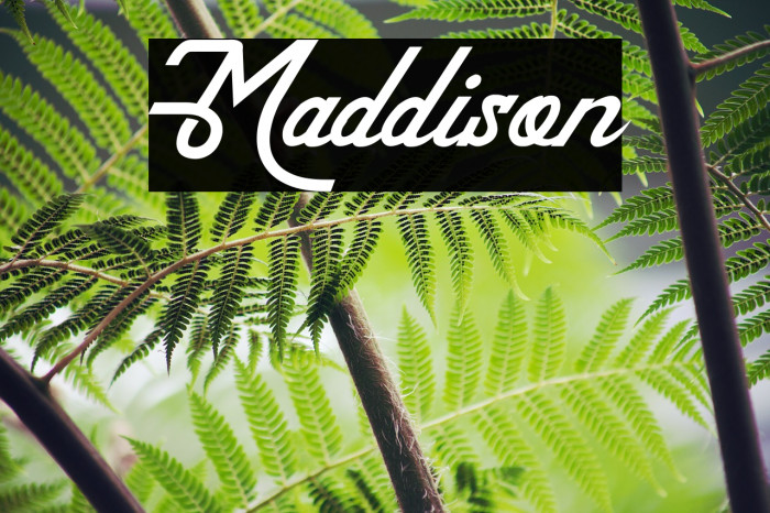 Maddison Font examples