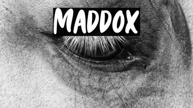 Maddox Font examples
