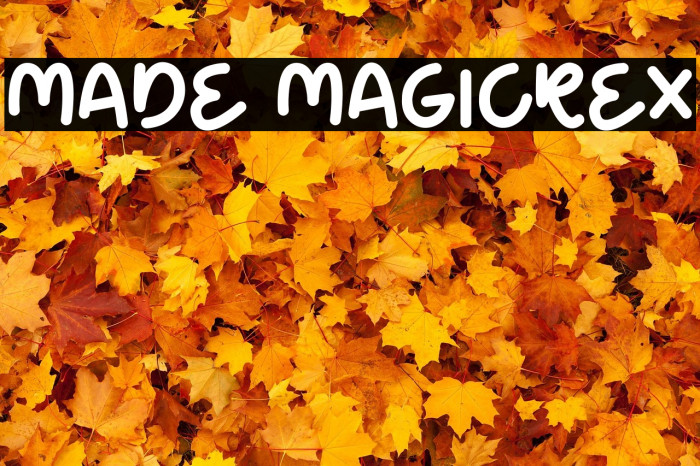 Made Magicrex Example 1