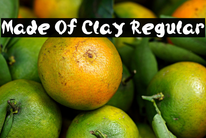 Made Of Clay Regular Example 2