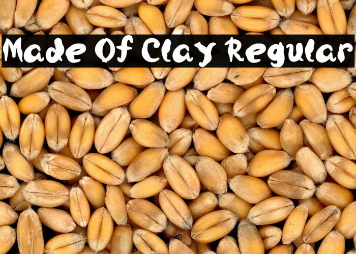 Made Of Clay Regular Example 3