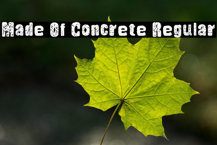 Made Of Concrete Regular Example 3