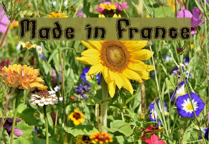 Made in France Example 1