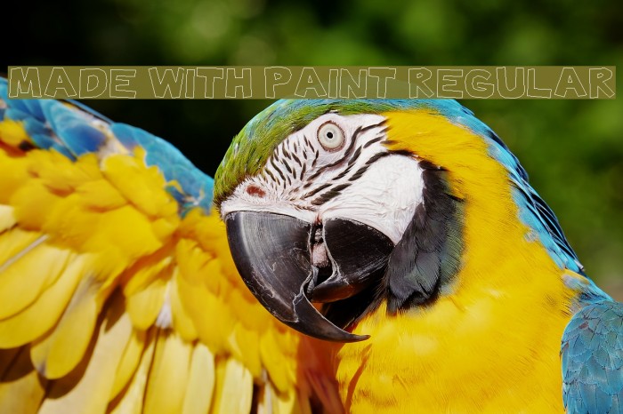 Made with Paint Regular Font examples