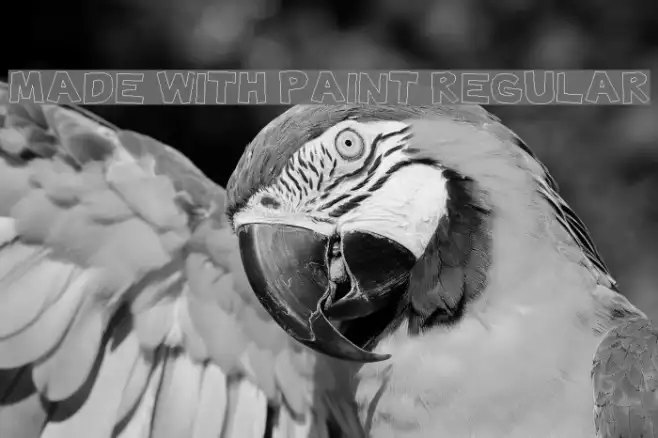 Made with Paint Regular Example 1