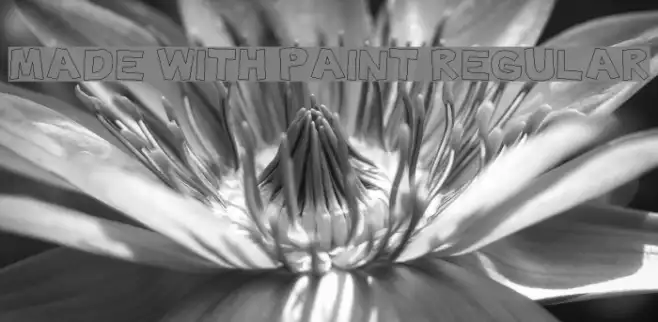 Made with Paint Regular Example 2