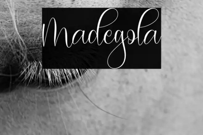 Madegola Example 1