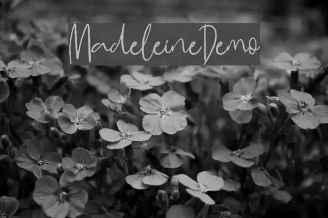 MadeleineDemo Font examples