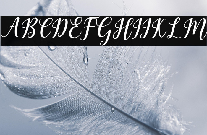 MadelinaBold Example 1