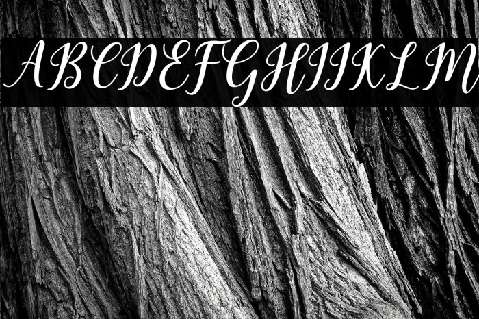 MadelinaBold Example 2