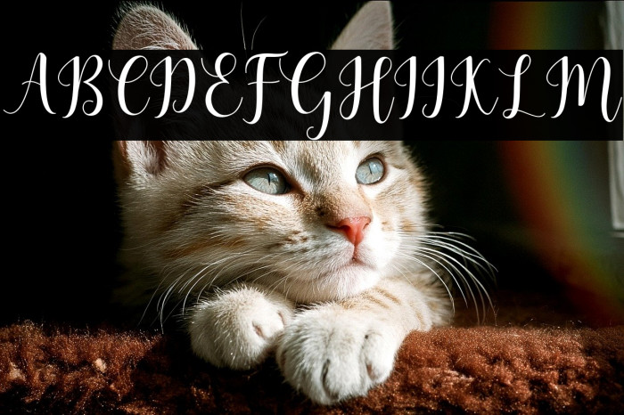 MadelinaScript Example 1