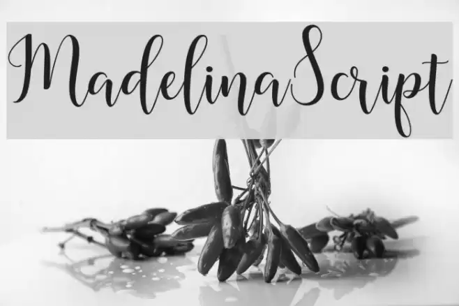 MadelinaScript Font examples
